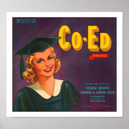 コエッドブランド柑橘類ラベル ポスター (正面)