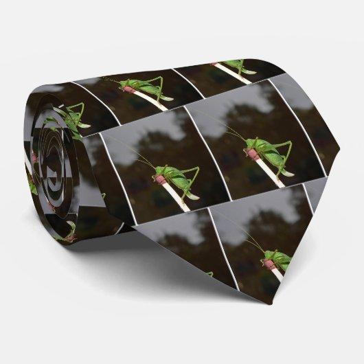 コオロギのマッチ ネクタイ (ロール)