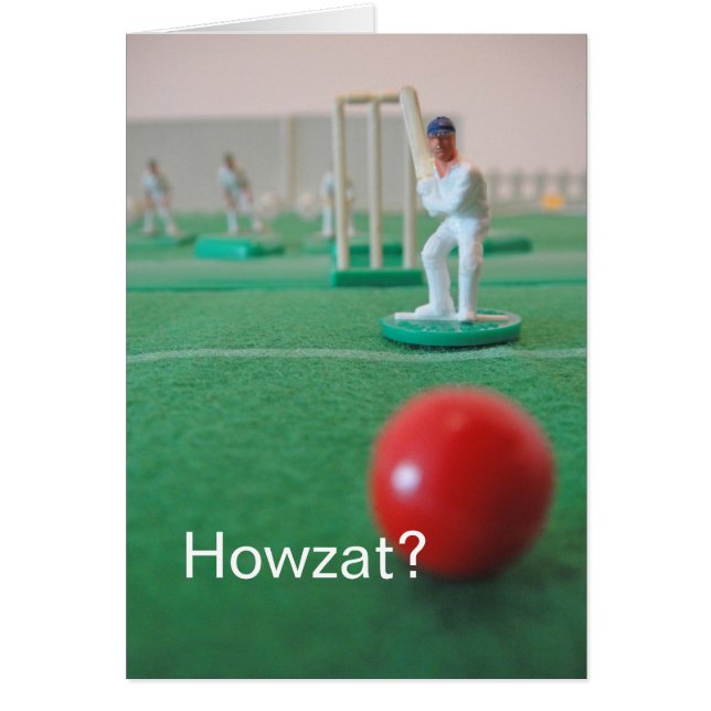 コオロギ「Howzatか。「 (正面)