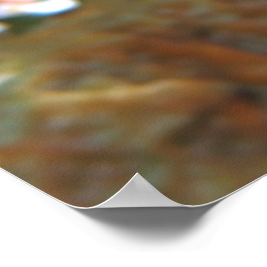 コカオ・ダモトリー ポスター (角)