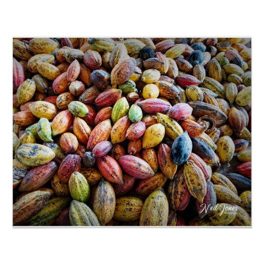 コカカラフルポッド写真デザイン ポスター (正面)