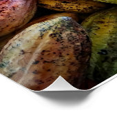 コカカラフルポッド写真デザイン ポスター (コーナー)