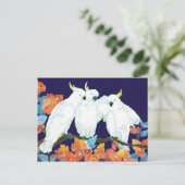 コカトゥーの友達 ポストカード (スタンド正面)