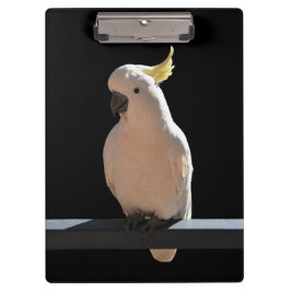 コカトゥーアットサンダイヤルアパートメンツクリップボード クリップボード