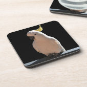 コカトゥーアットサンディアルアパートメンツコースター コースター (左側)