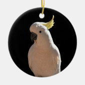 コカトゥーアットサンディアルアパートメンツセラミックスデコレーション セラミックオーナメント (正面)