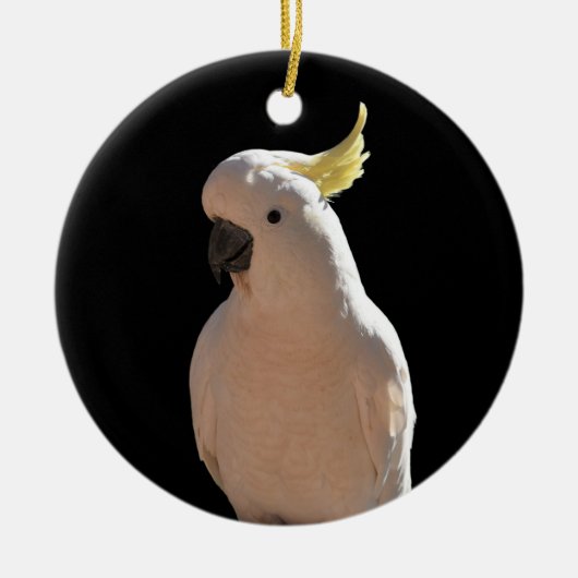 コカトゥーアットサンディアルアパートメンツセラミックスデコレーション セラミックオーナメント (正面)