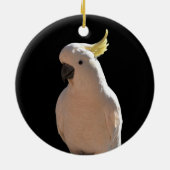 コカトゥーアットサンディアルアパートメンツセラミックスデコレーション セラミックオーナメント (裏面)