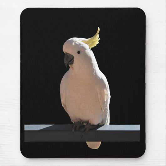 コカトゥーアットサンディアルアパートメンツマウスパッド マウスパッド (正面)