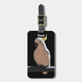 コカトゥーアットサンディアルアパートメンツラゲージタグ ラゲッジタグ