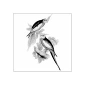 コカトゥーバードヴィンテージイラスト ラバースタンプ (インプリント)