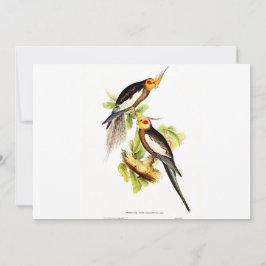 コカトゥーパラケート シーズンカード