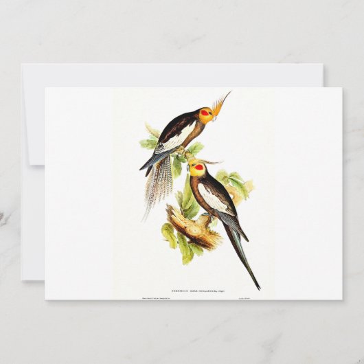 コカトゥーパラケート シーズンカード (正面)