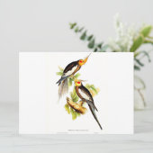 コカトゥーパラケート シーズンカード (スタンド正面)