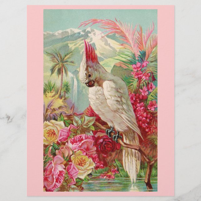 コカトゥーピンクローズ (正面)