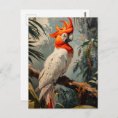 コカトゥーポートレートヴィンテージ ポストカード (正面/裏面)