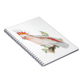 コカトゥーヴィンテージアート ノートブック (右側)