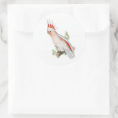 コカトゥーヴィンテージアート ラウンドシール (バッグ)