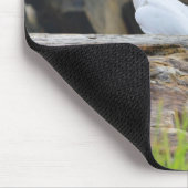 コカトス マウスパッド (コーナー)