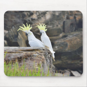 コカトス マウスパッド