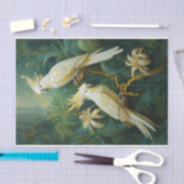 コカトー愛好家、白い羽エレガンス 薄葉紙 (クラフト)