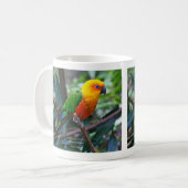コガネメキシコインコ , Sun Parakeet コーヒーマグカップ (正面左)
