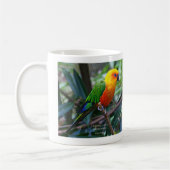 コガネメキシコインコ , Sun Parakeet コーヒーマグカップ (左)