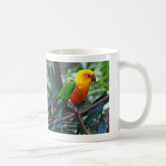 コガネメキシコインコ , Sun Parakeet コーヒーマグカップ (右)