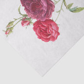 コガニカ 薄葉紙 (詳細)