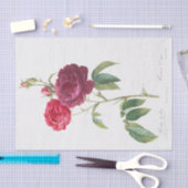 コガニカ 薄葉紙 (クラフト)