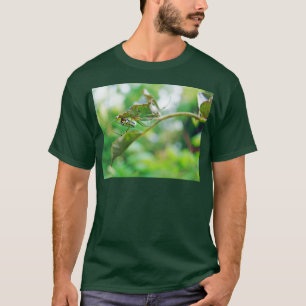 コガネグモ - Leucauge venusta Tシャツ