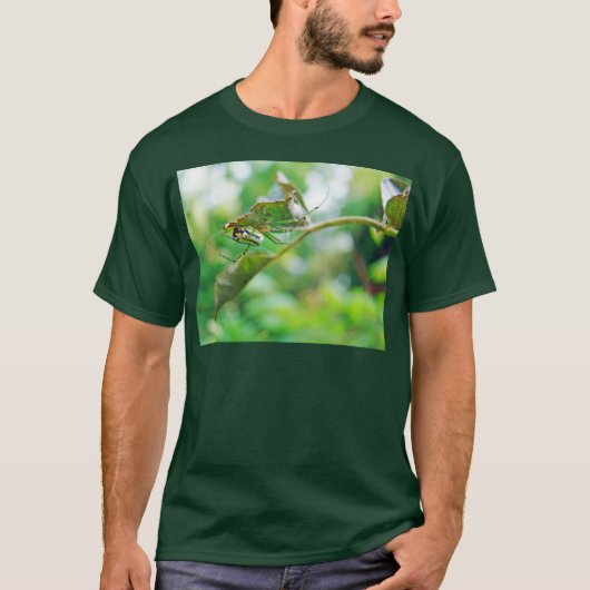 コガネグモ - Leucauge venusta Tシャツ (正面)