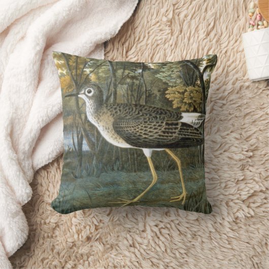 コキアシシギ クッション (ブランケット)