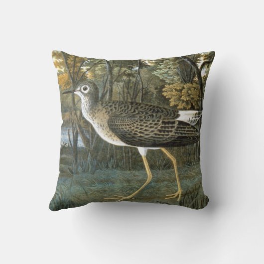 コキアシシギ クッション (裏面)