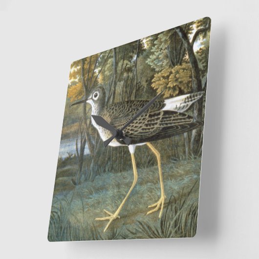 コキアシシギ スクエア壁時計 (傾斜)