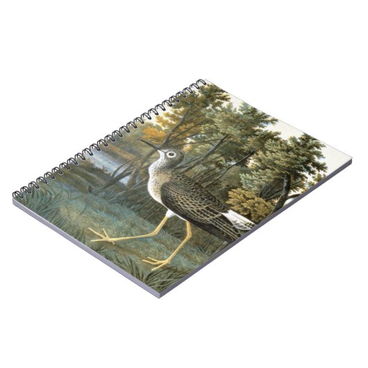 コキアシシギ ノートブック (左側)