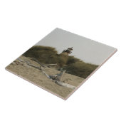 コキルリバーライトハウス タイル (側面)