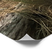 コキルリバーライトハウス ポスター (角)