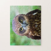 コキンメフクロウのジグソーパズル ジグソーパズル (縦)