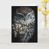 コキンメフクロウの挨拶状 カード (黄色い花)
