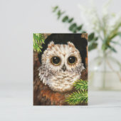 、コキンメフクロウ-かわいい鳥の芸術の郵便はがき目覚めて下さい ポストカード (スタンド正面)