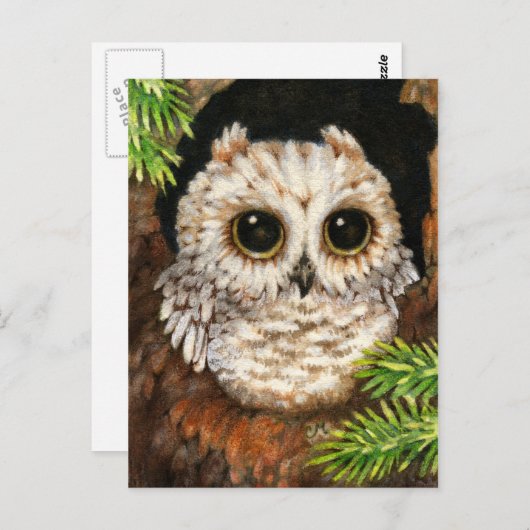 、コキンメフクロウ-かわいい鳥の芸術の郵便はがき目覚めて下さい ポストカード (正面/裏面)