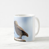 コキンメフクロウ コーヒーマグカップ (正面右)