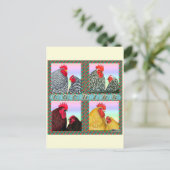 コクイン4色 ポストカード (スタンド正面)