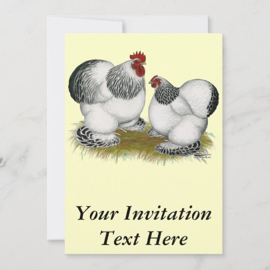 コクイン：コロンビアンバンタム 招待状 (正面)