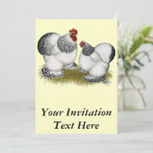 コクイン：コロンビアンバンタム 招待状 (スタンド正面)