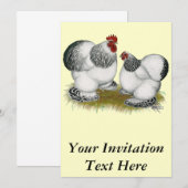 コクイン：コロンビアンバンタム 招待状 (正面/裏面)