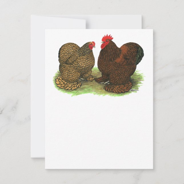 コクイン：ゴールデンレース (正面)