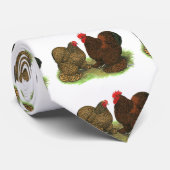 コクイン:ゴールデンレース ネクタイ (ロール)