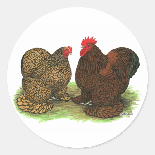 コクイン:ゴールデンレース ラウンドシール (正面)